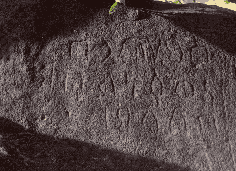 al-Qāyifī – Hakr 5